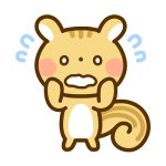 ぽんちゃん